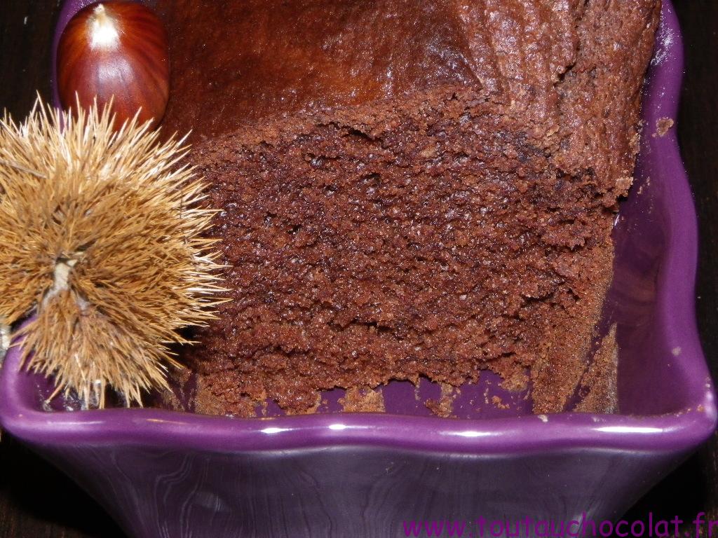 Gateau Au Yaourt Chataigne Chocolat Tout Au Chocolat